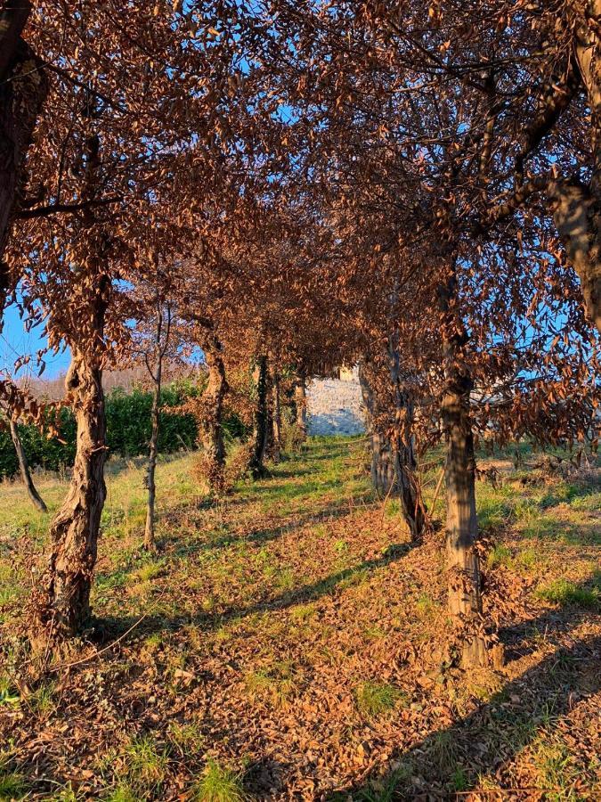 Bed & Breakfast Le Lanterne