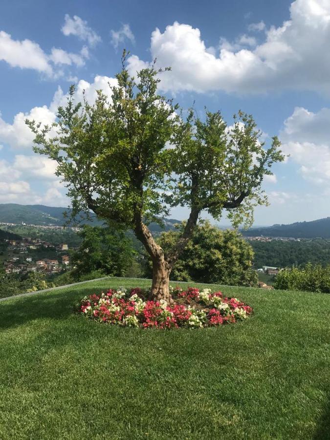 Le Lanterne Bed & Breakfast